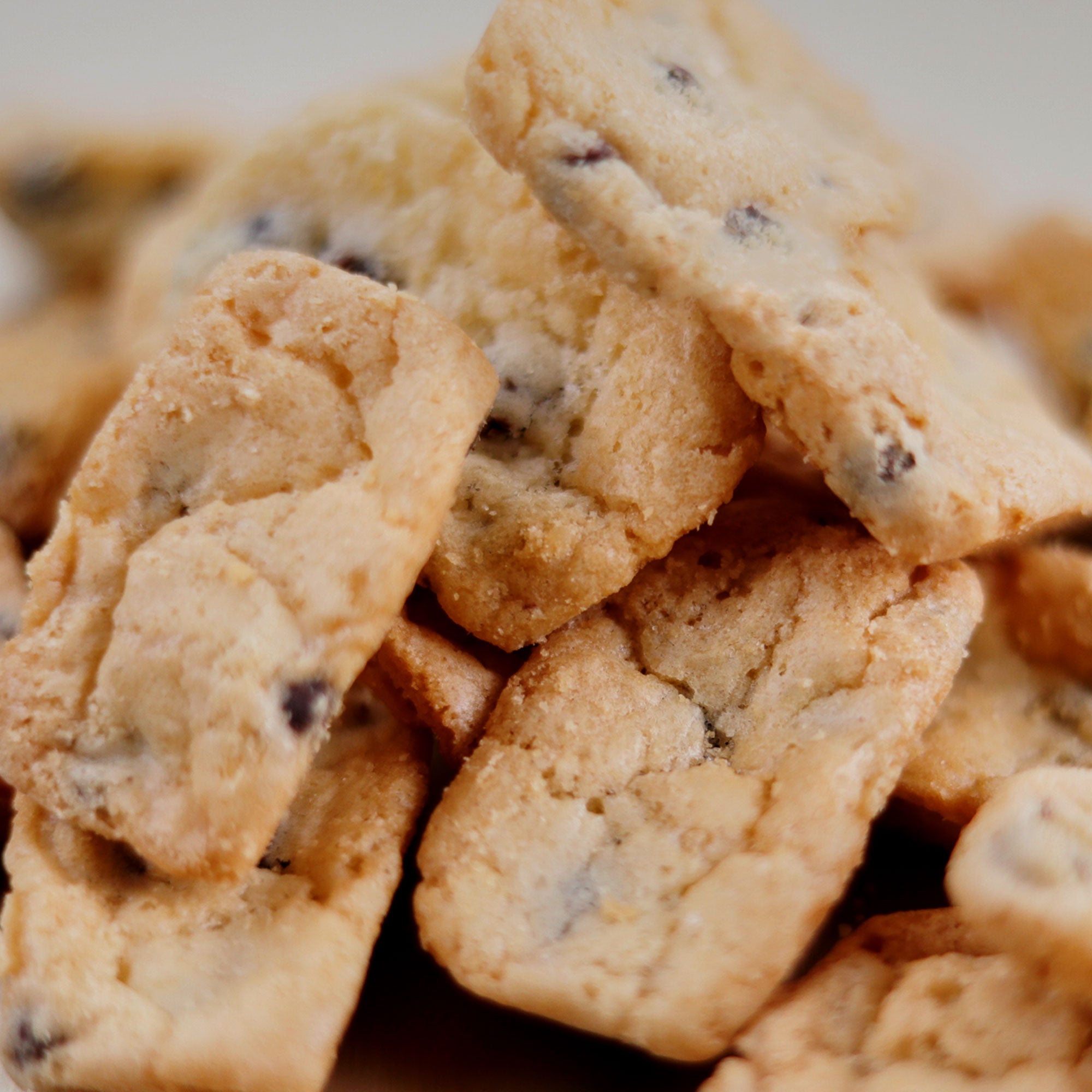 FrenchCookies Chocolate
