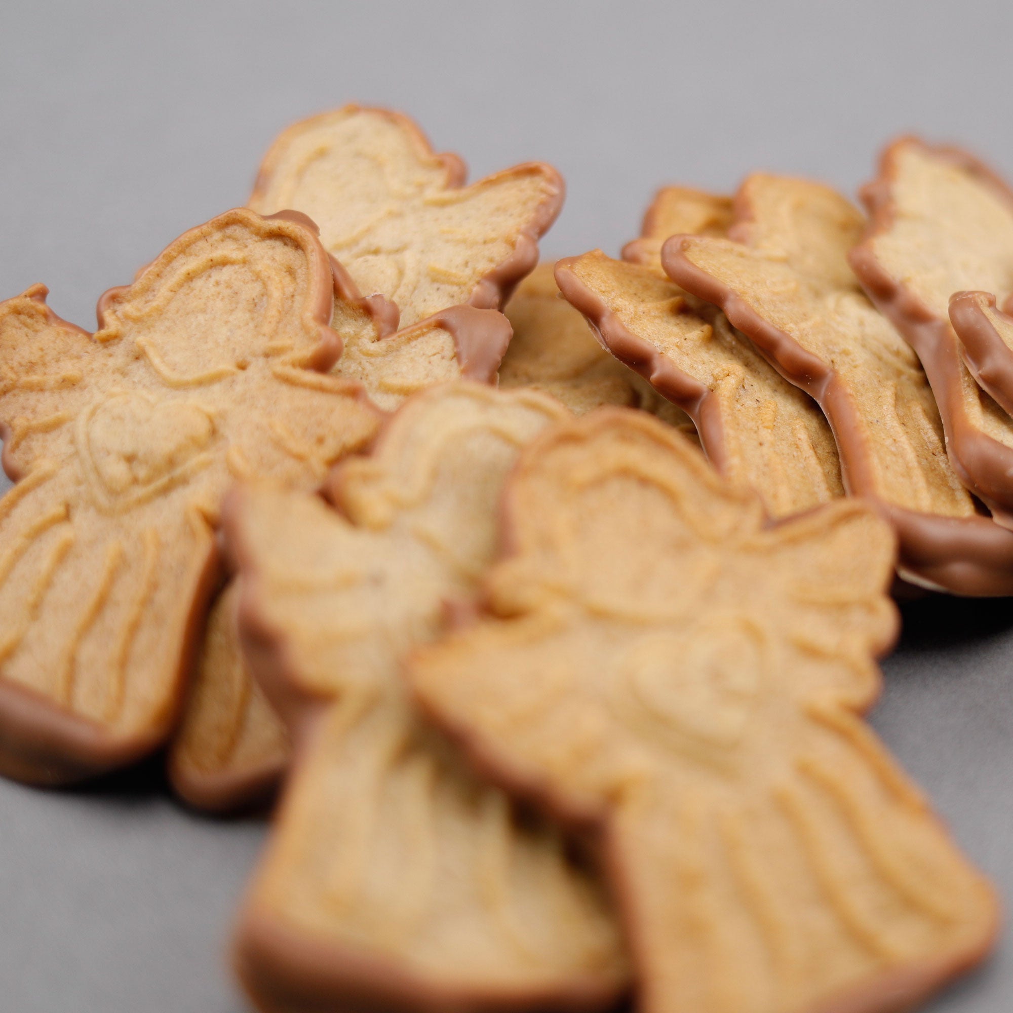 AngelSpeculoos Milk